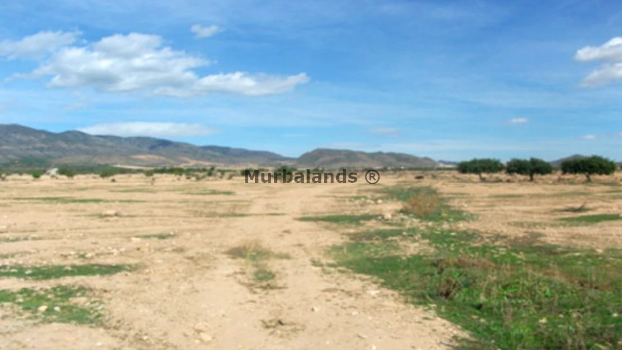 Foto de un terreno o una obra parada para mostrar en el detalle del inmueble