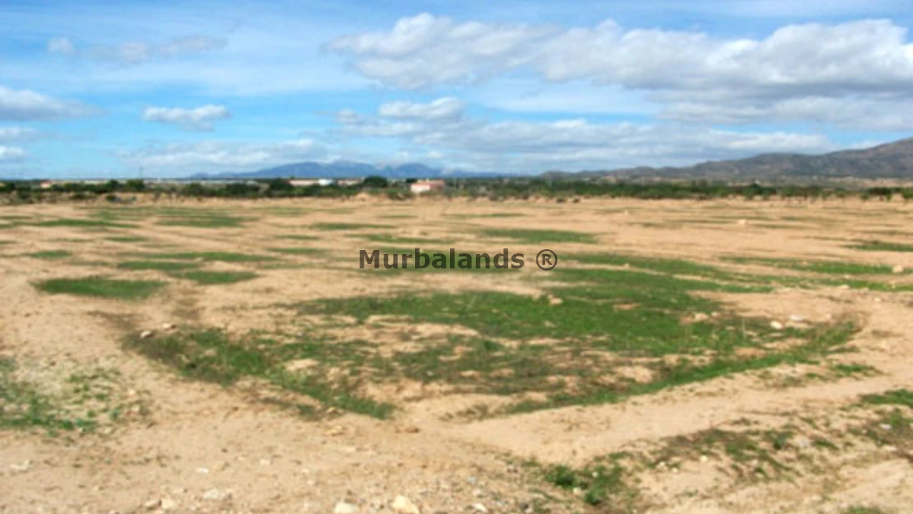 Foto de un terreno o una obra parada para mostrar en el detalle del inmueble