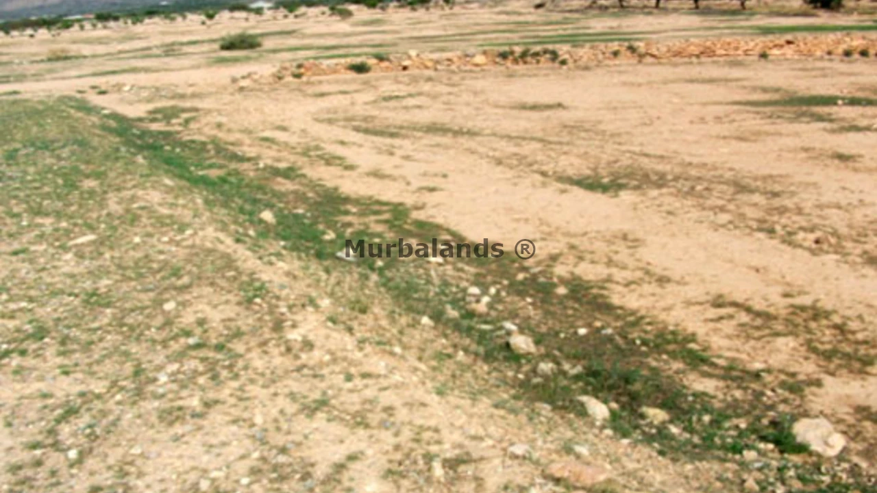 Foto de un terreno o una obra parada para mostrar en el detalle del inmueble