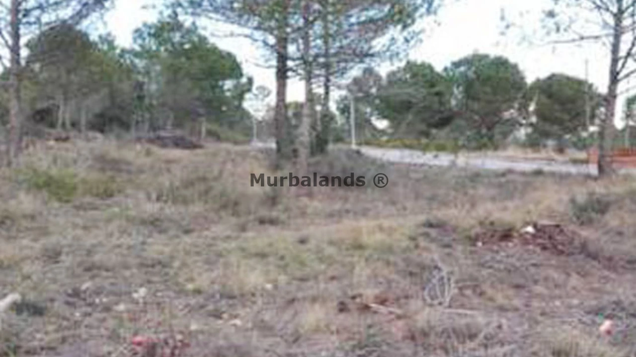 Terreno destacado