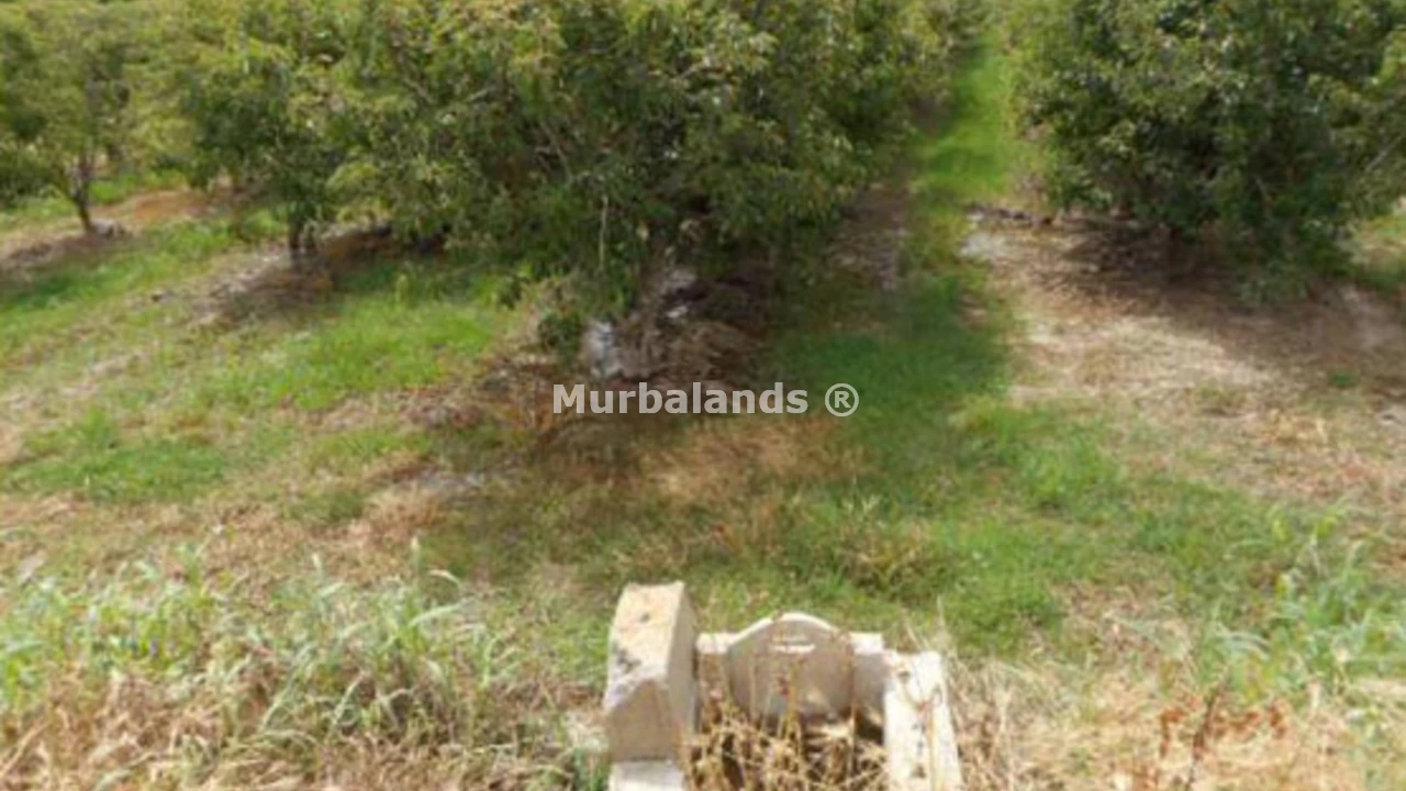 Foto de un terreno o una obra parada para mostrar en el detalle del inmueble