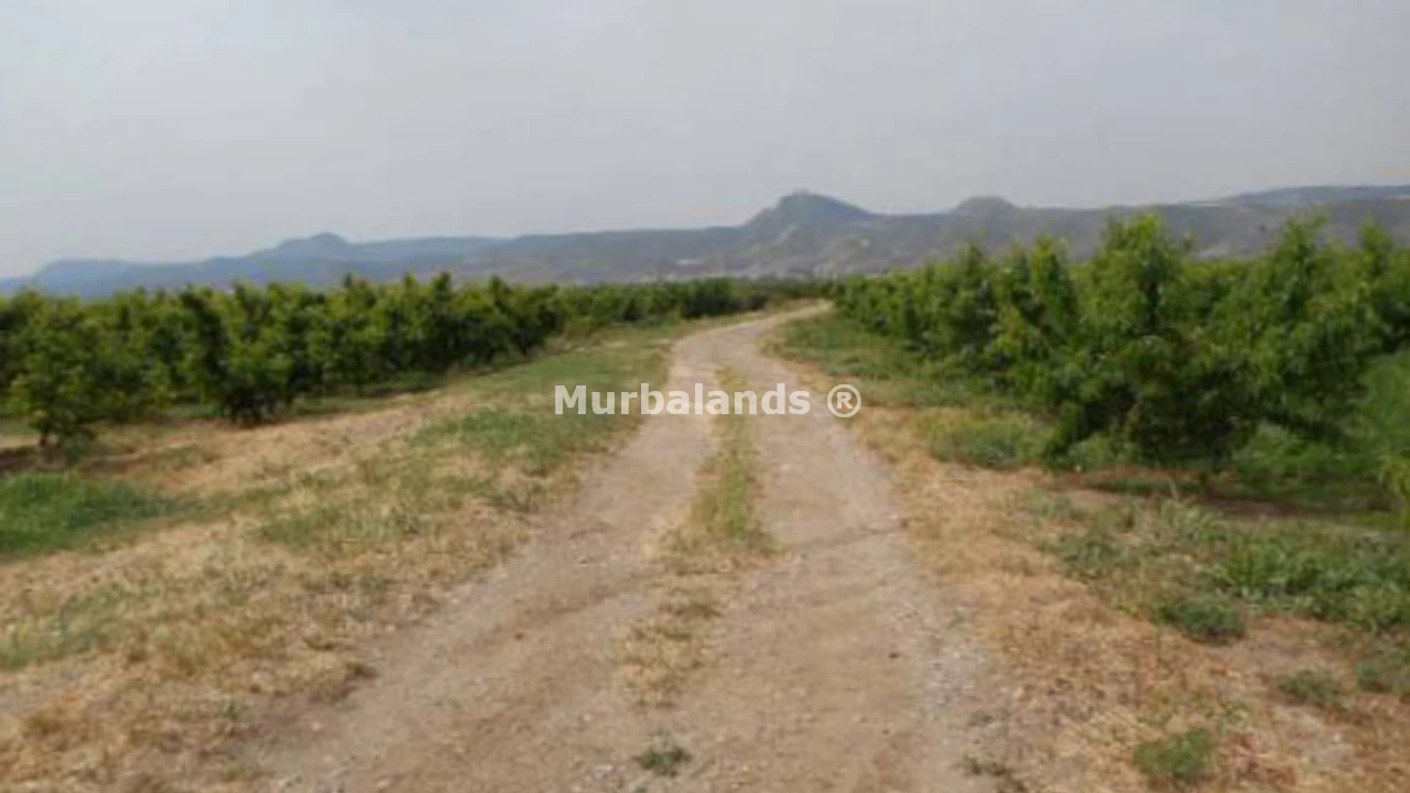 Foto de un terreno o una obra parada para mostrar en el detalle del inmueble