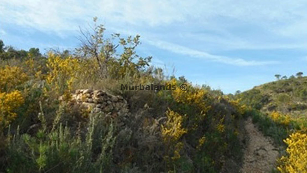 Foto de un terreno o una obra parada para mostrar en el detalle del inmueble
