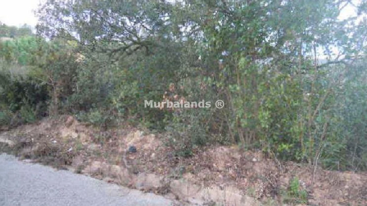 Terreno destacado