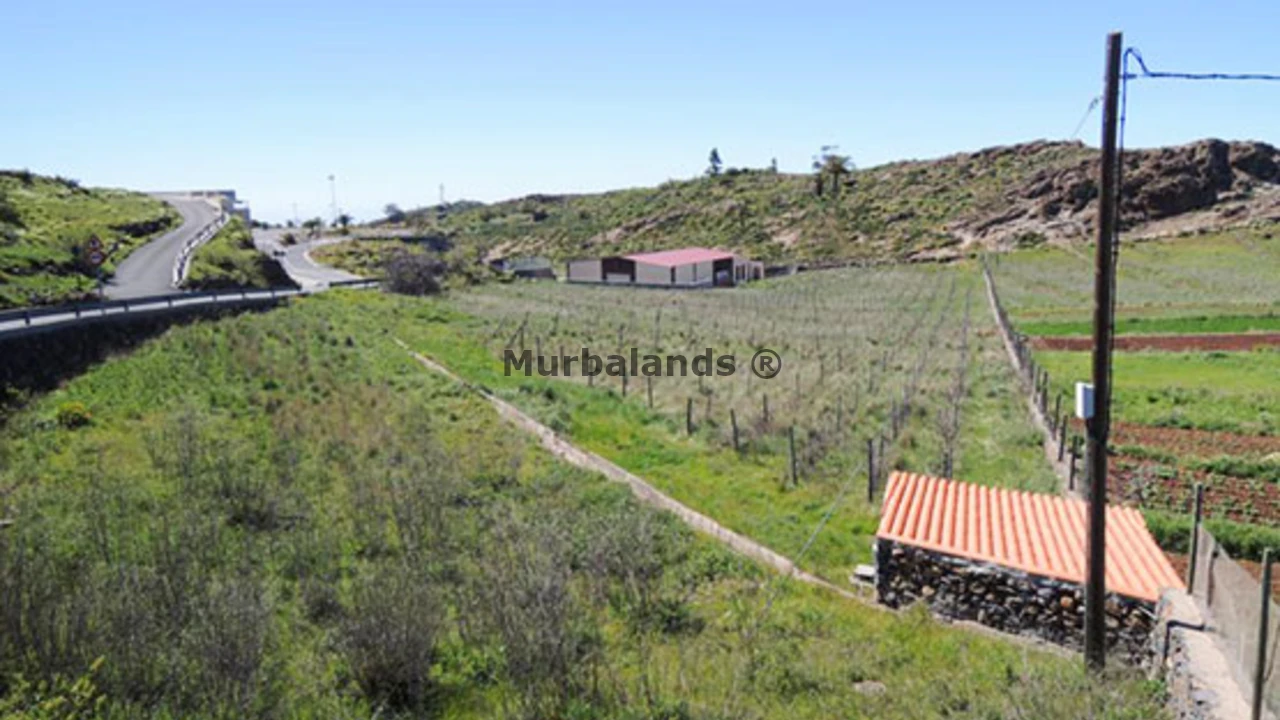 Foto de un terreno o una obra parada para mostrar en el detalle del inmueble