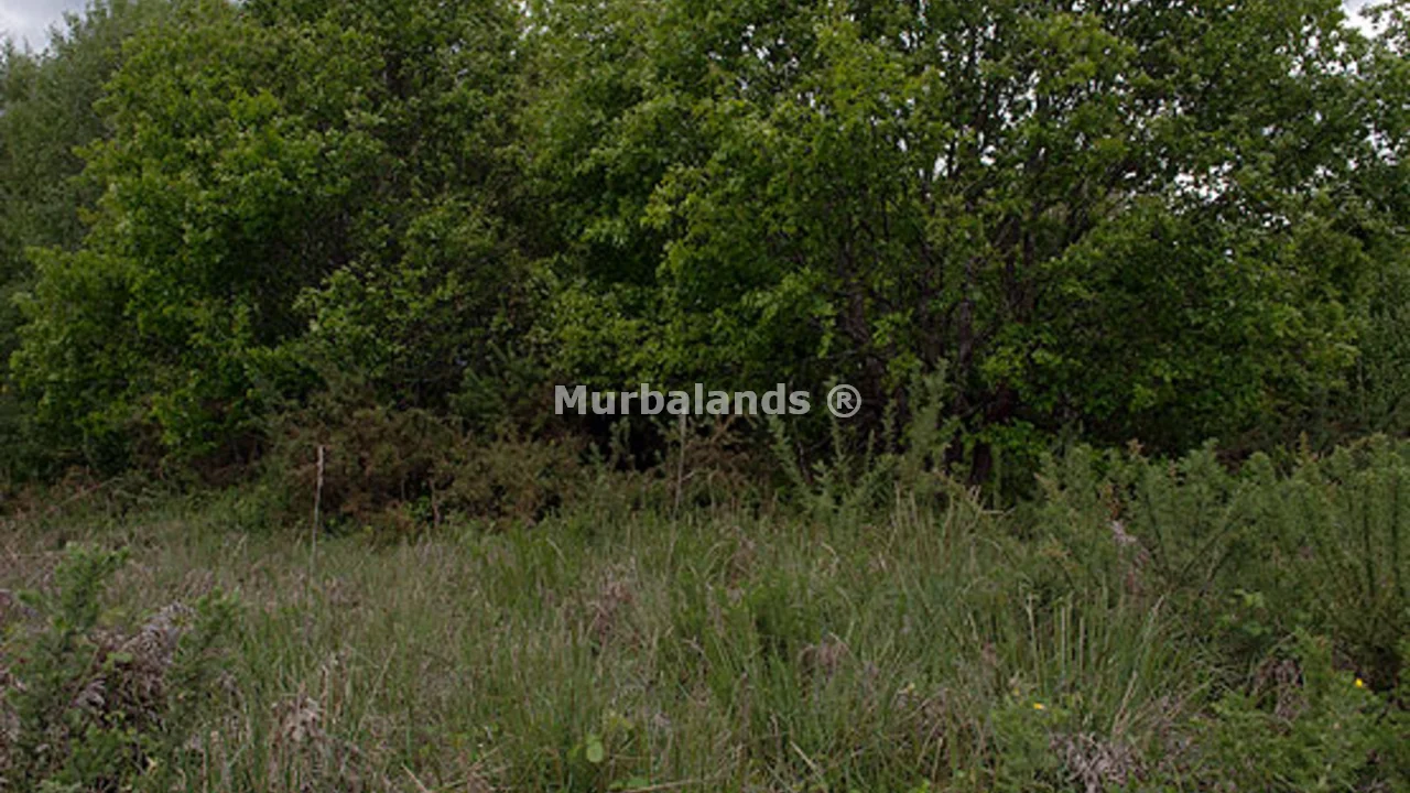 Foto de un terreno o una obra parada para mostrar en el detalle del inmueble