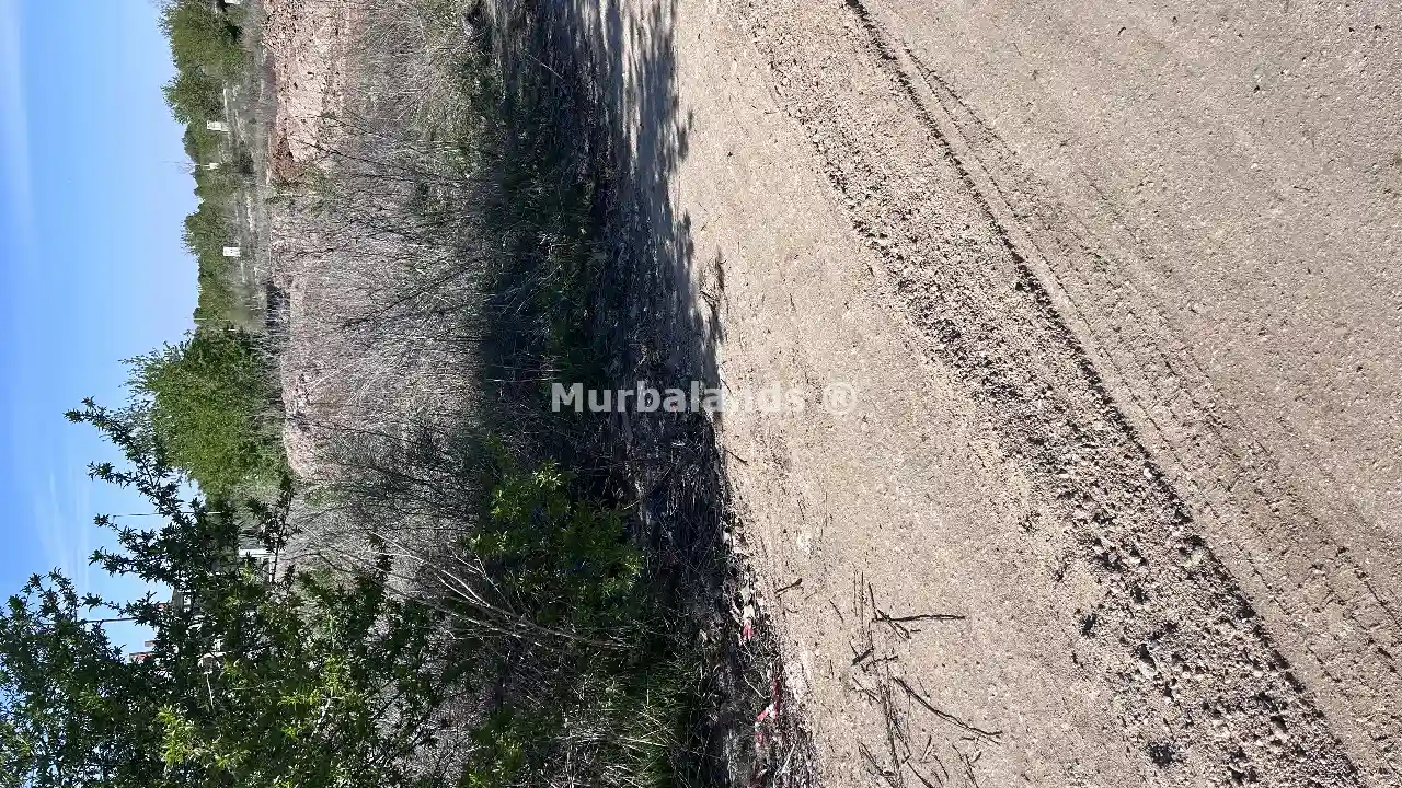 Foto del anuncio Ref. 00005238