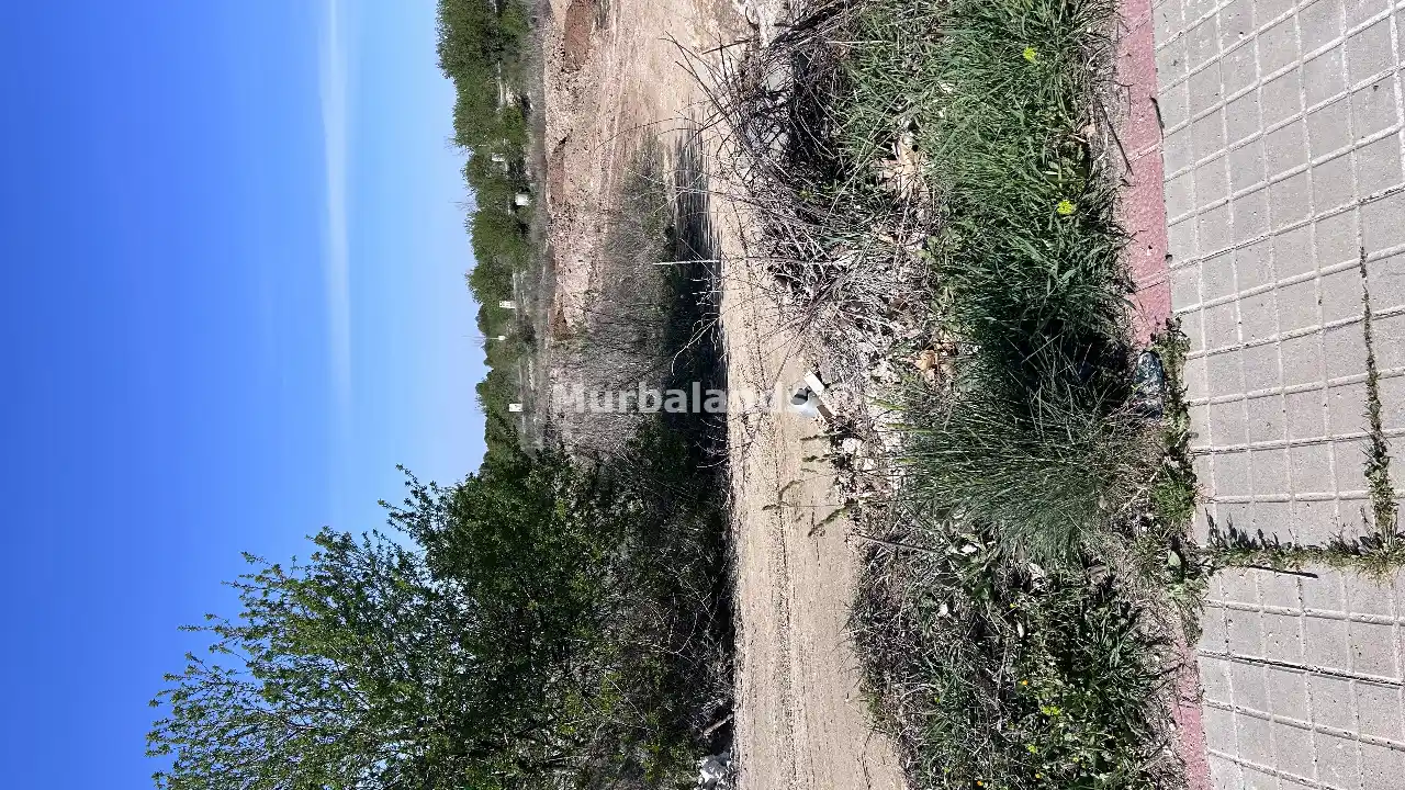 Foto del anuncio Ref. 00005238