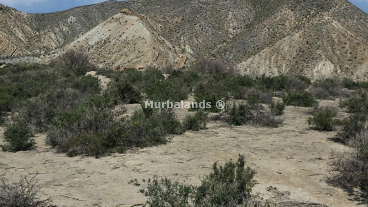 Foto de un terreno o una obra parada para mostrar en el detalle del inmueble