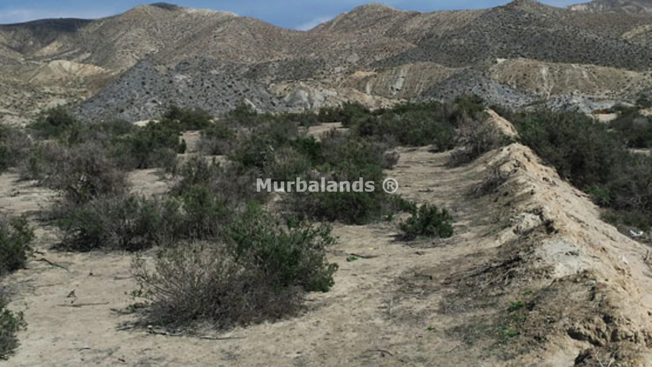 Foto de un terreno o una obra parada para mostrar en el detalle del inmueble