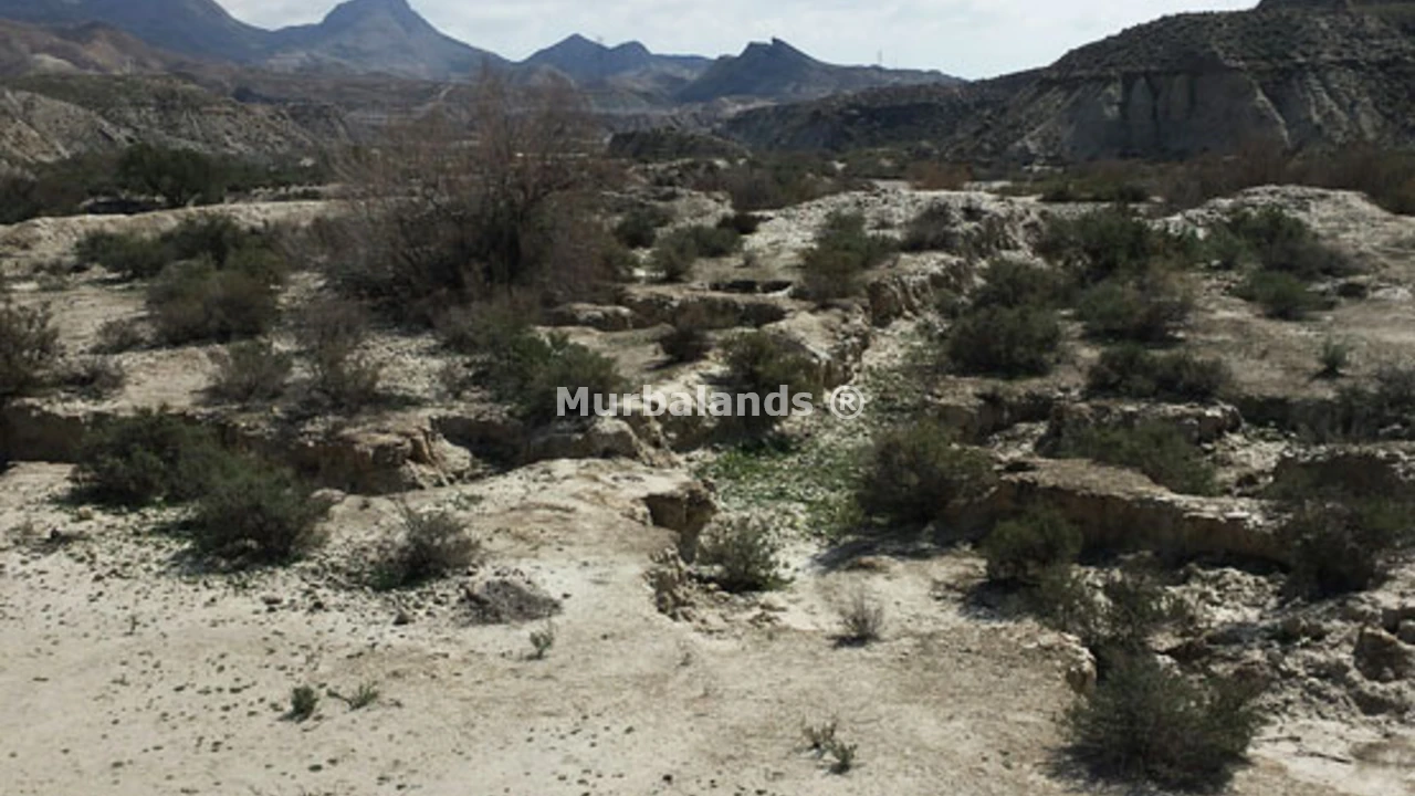 Foto de un terreno o una obra parada para mostrar en el detalle del inmueble