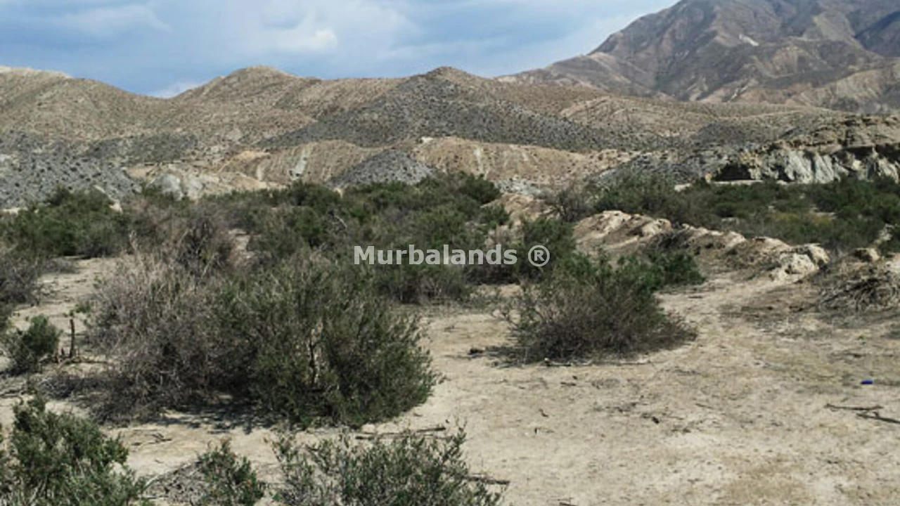 Foto de un terreno o una obra parada para mostrar en el detalle del inmueble