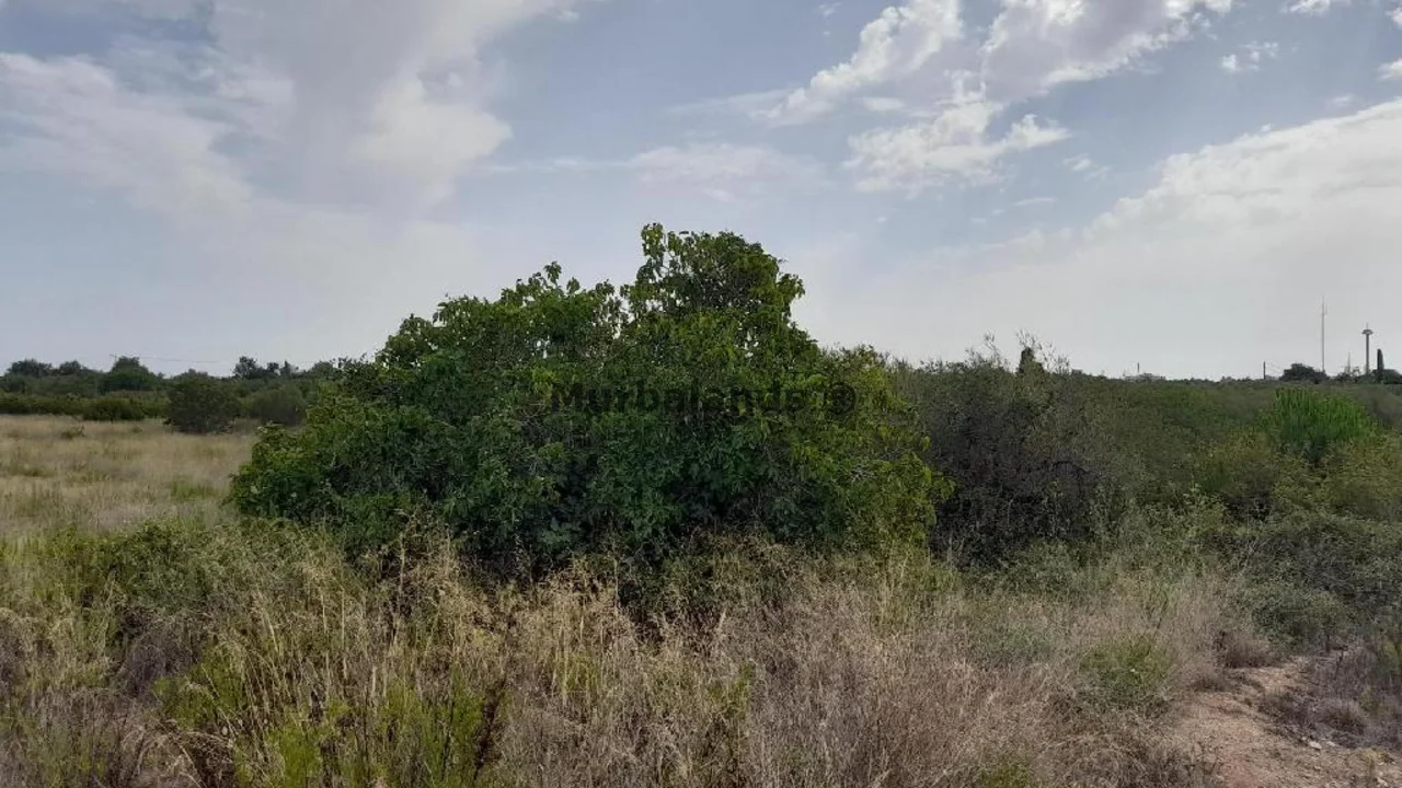 Foto de un terreno o una obra parada para mostrar en el detalle del inmueble