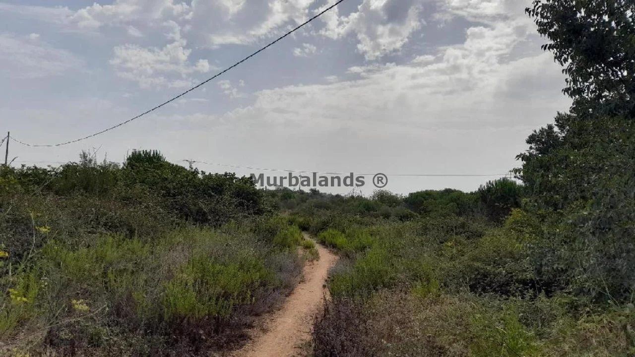 Foto de un terreno o una obra parada para mostrar en el detalle del inmueble