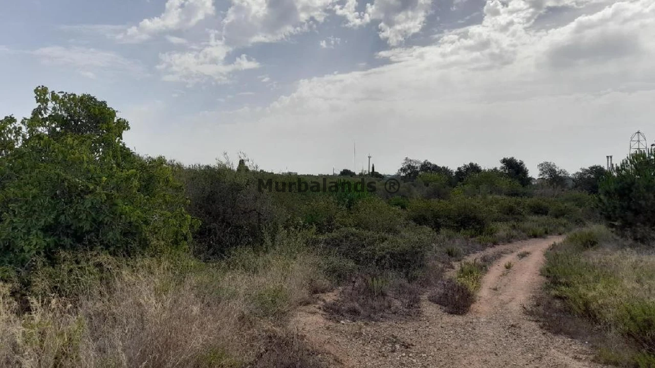 Foto de un terreno o una obra parada para mostrar en el detalle del inmueble