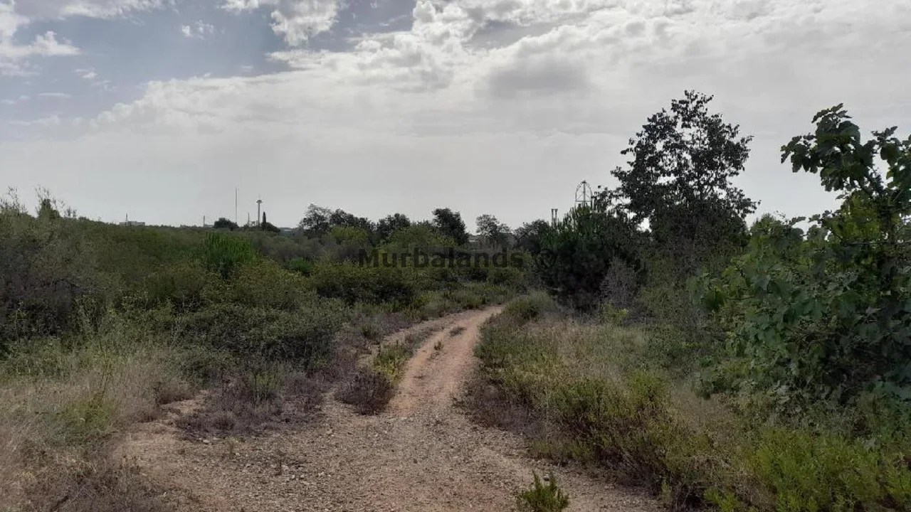 Foto de un terreno o una obra parada para mostrar en el detalle del inmueble
