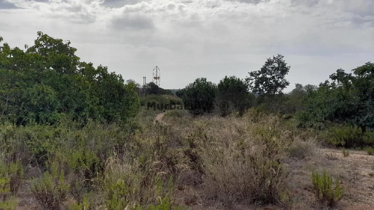 Foto de un terreno o una obra parada para mostrar en el detalle del inmueble