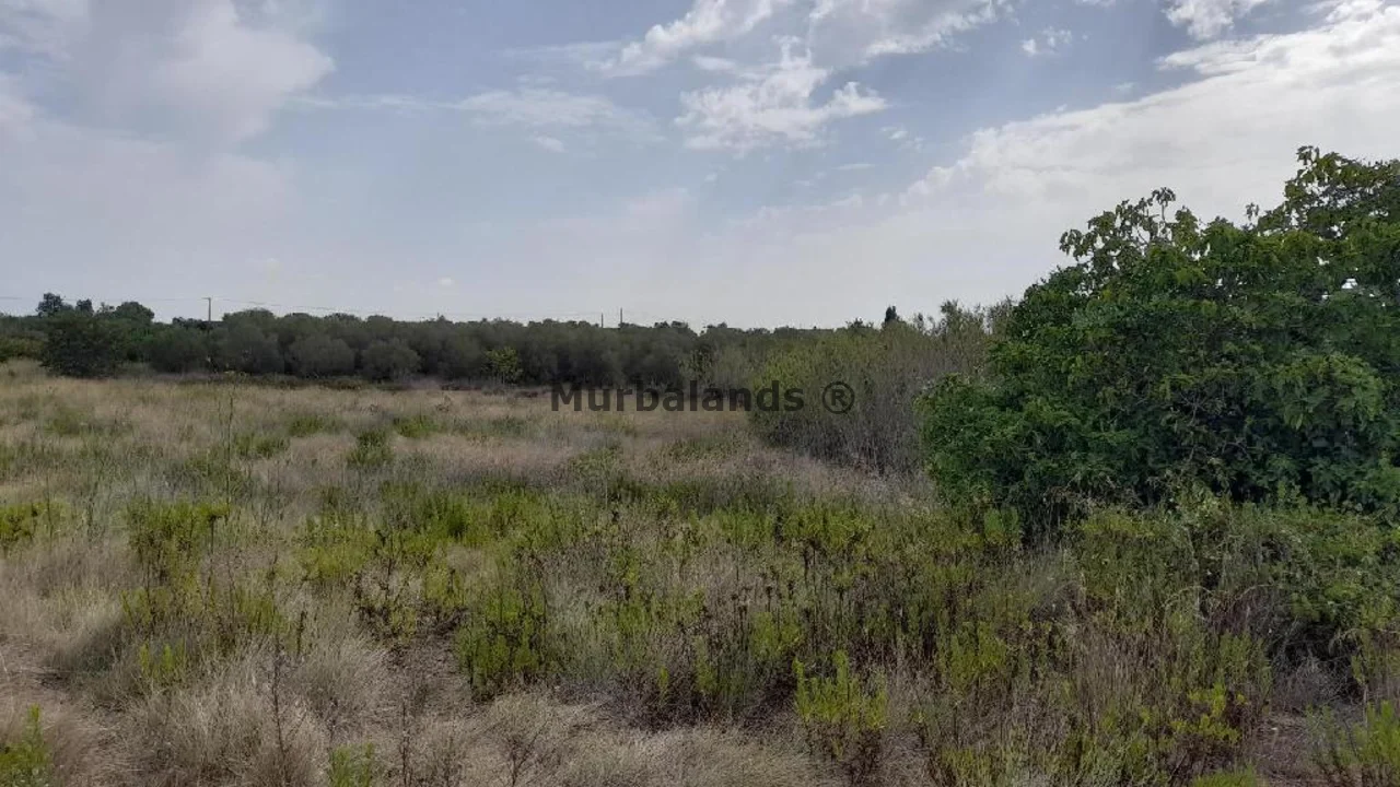 Foto de un terreno o una obra parada para mostrar en el detalle del inmueble