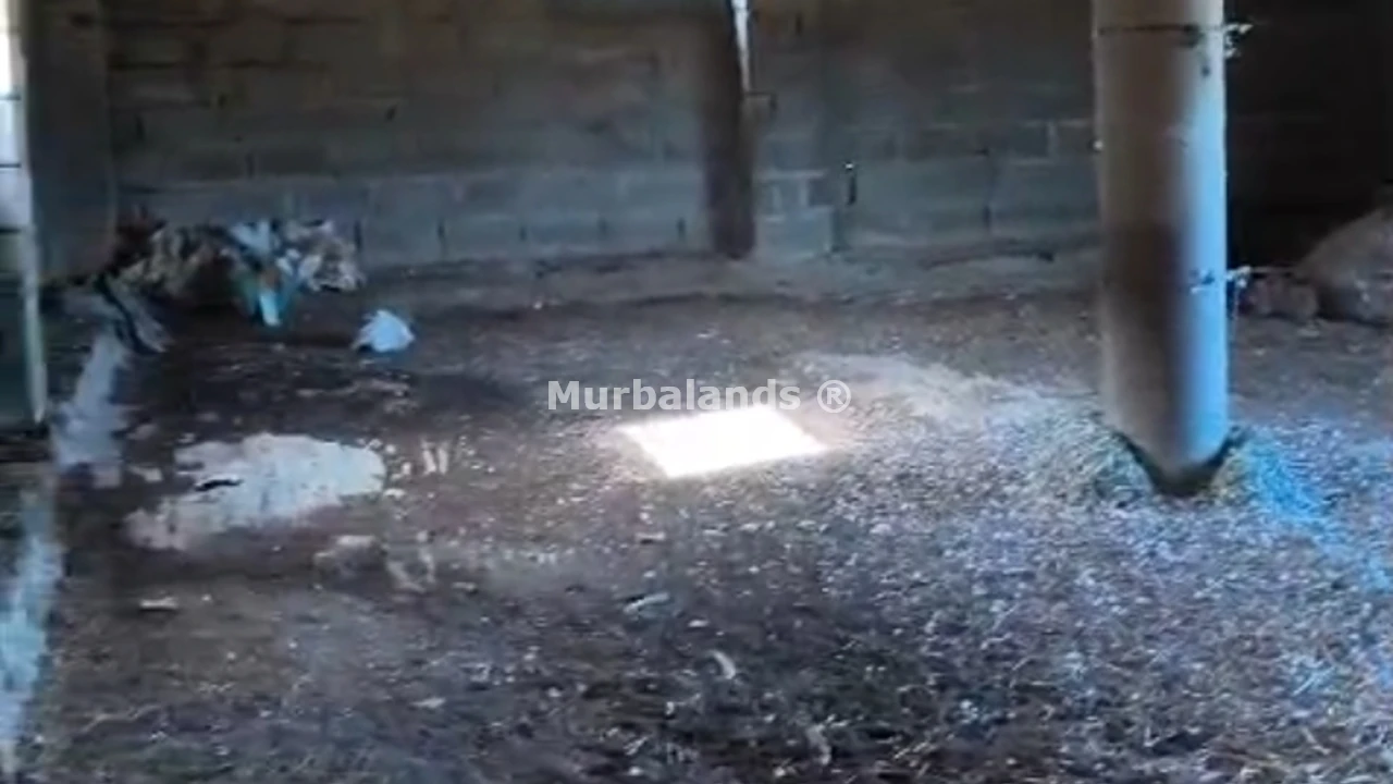 Foto del anuncio Ref. 00005271