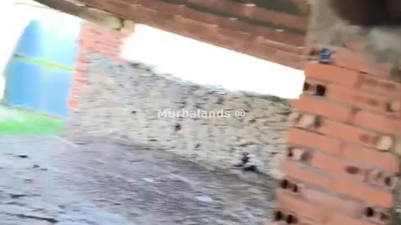 Foto del anuncio Ref. 00005271