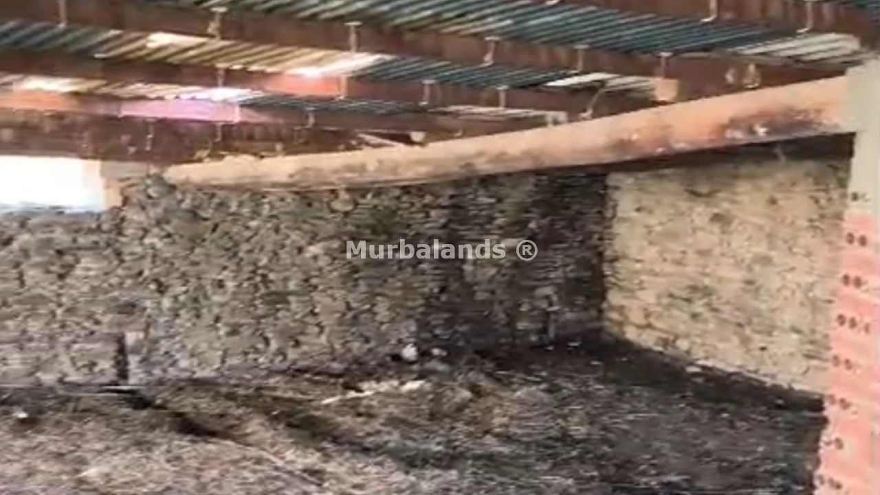 Foto del anuncio Ref. 00005271