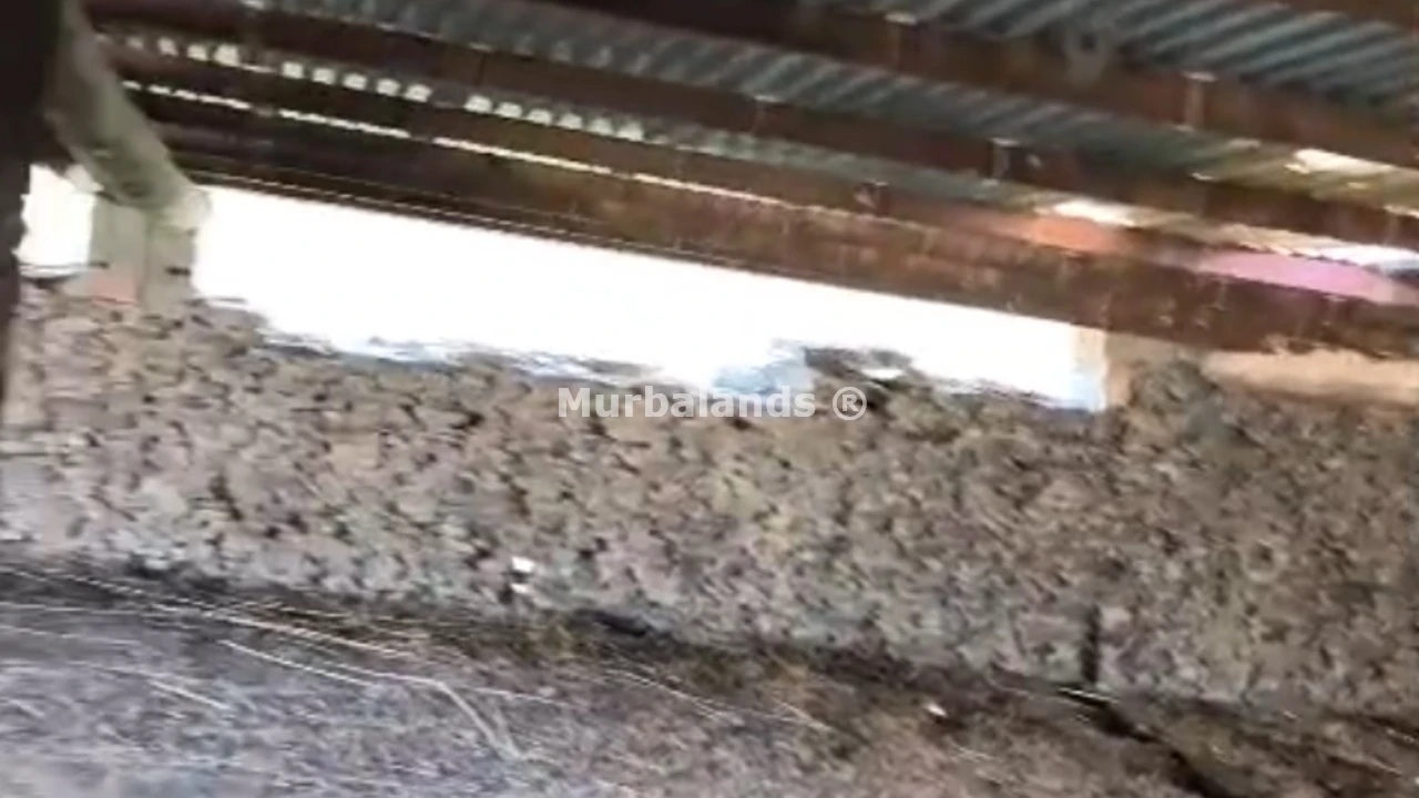 Foto del anuncio Ref. 00005271