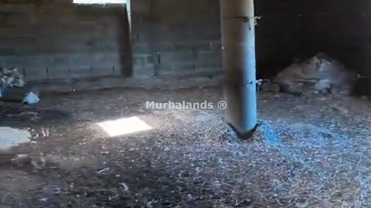 Foto del anuncio Ref. 00005271