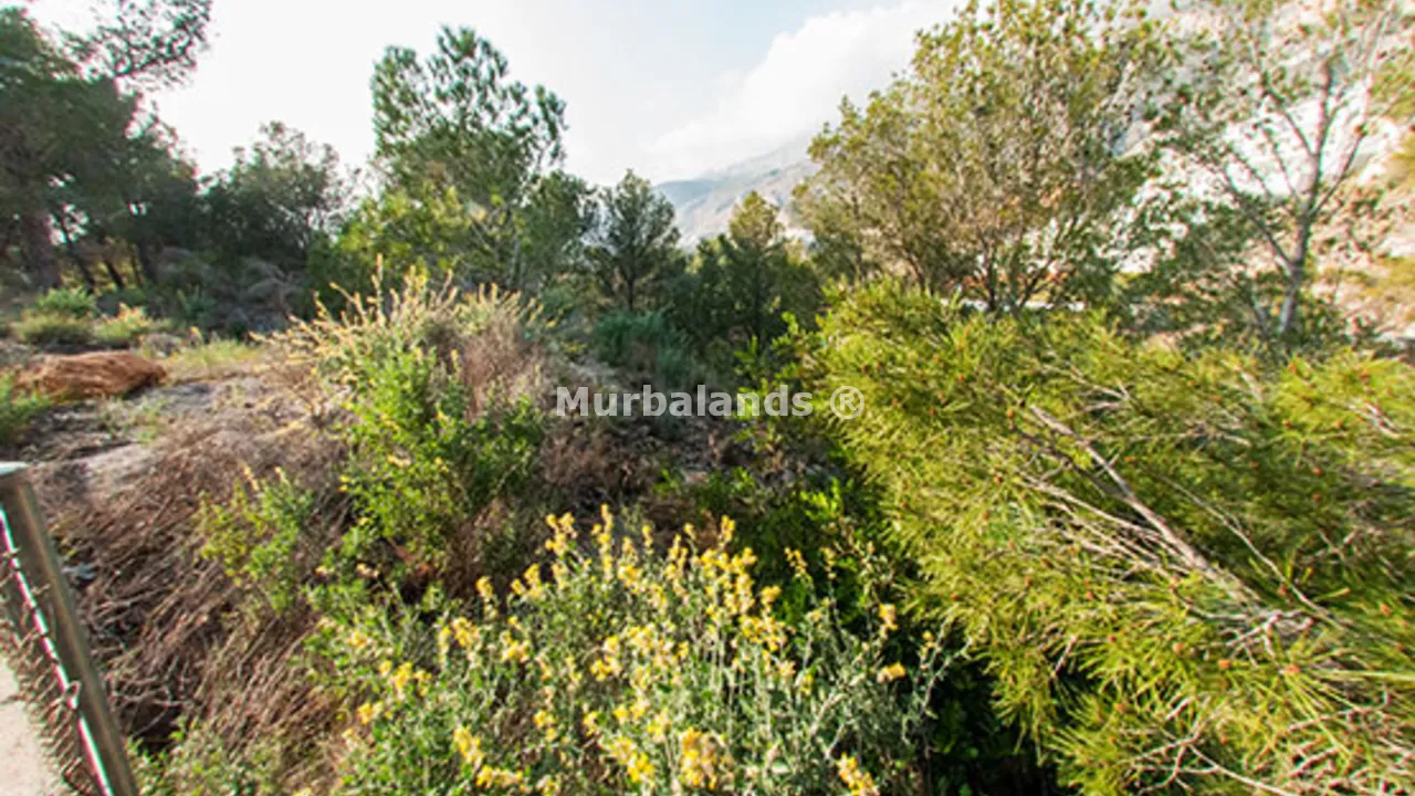Foto de un terreno o una obra parada para mostrar en el detalle del inmueble