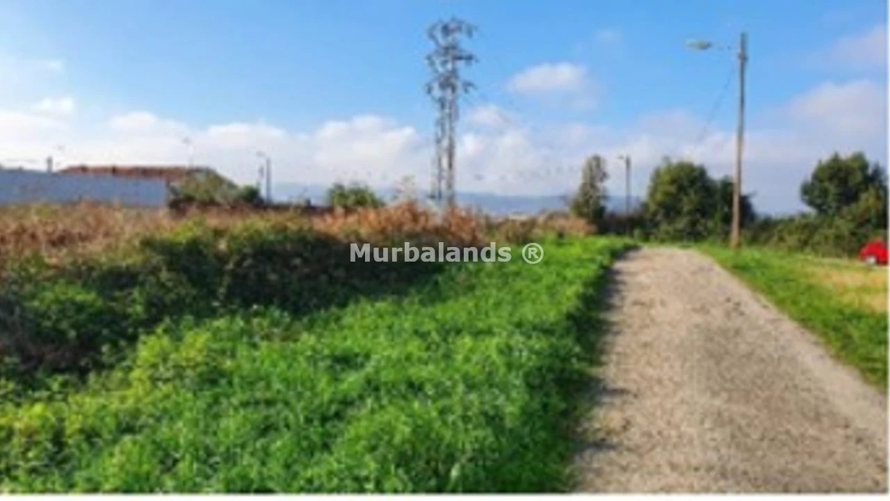 Terreno destacado