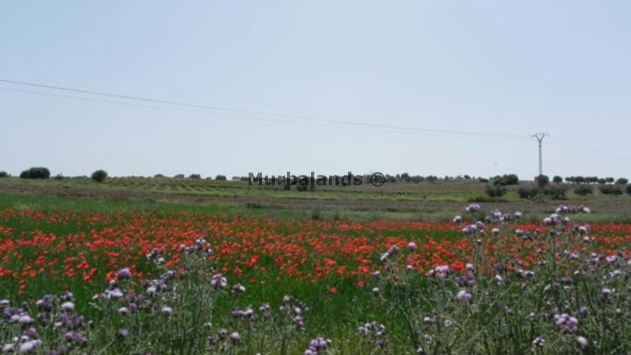 Terreno destacado